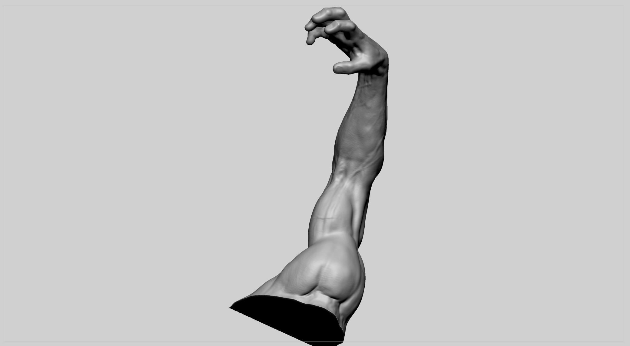 Human Arm 3D print model_5