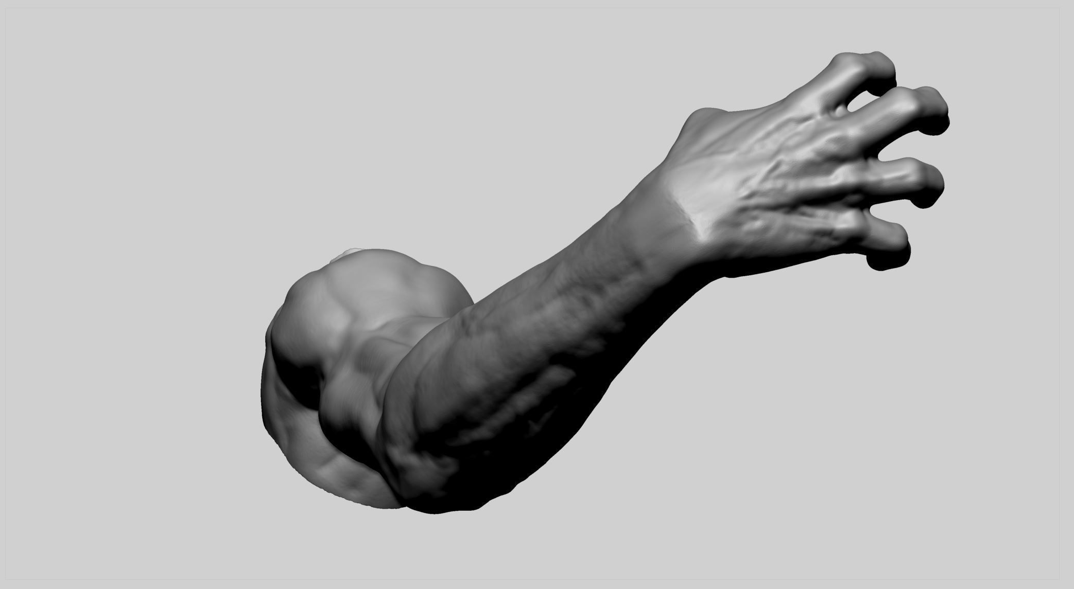 Human Arm 3D print model_2