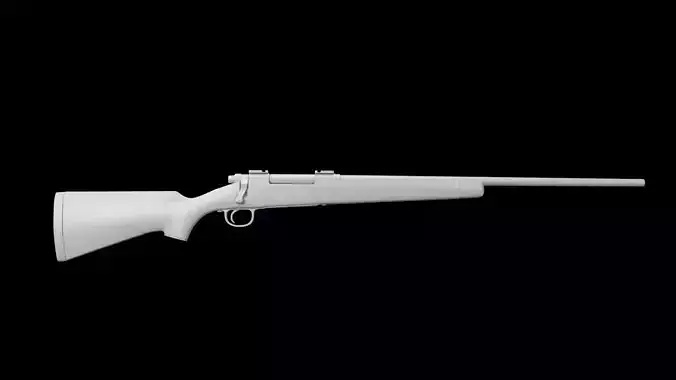 Hunting Rifle