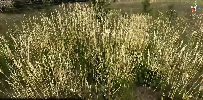 Photographic Game Grass