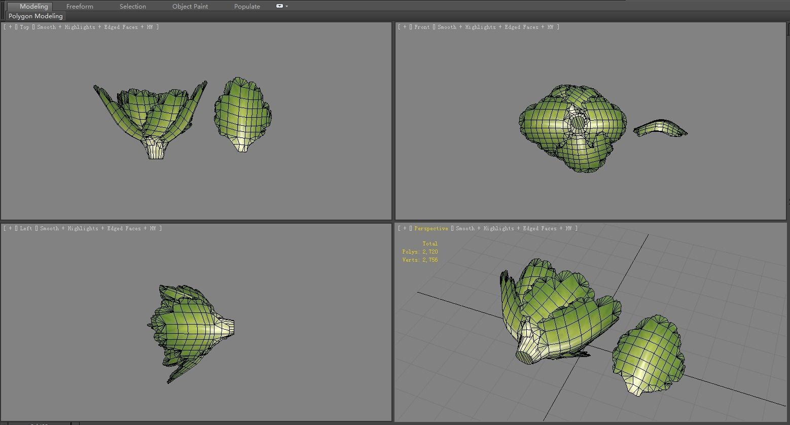 Cartoon Vegetable - lettuce and leaf - green salad Low-poly 3D model_4