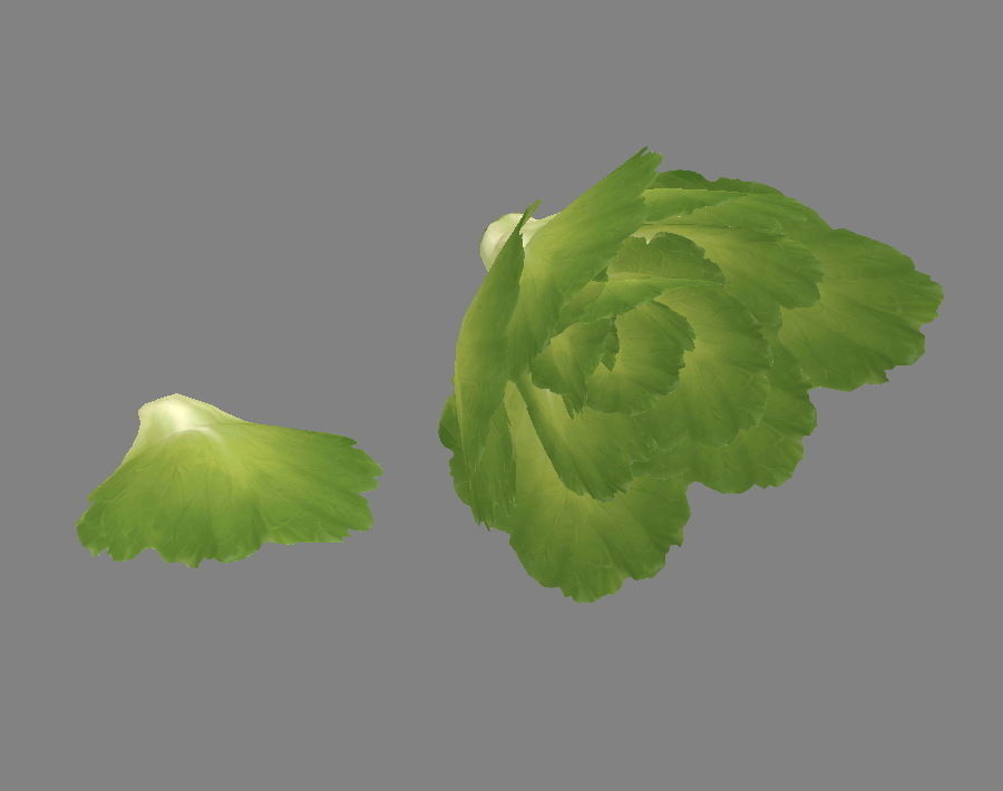 Cartoon Vegetable - lettuce and leaf - green salad Low-poly 3D model_1