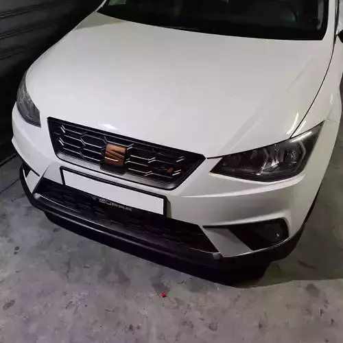 Seat Cupra Flag - Front Grill Badge 3D print model