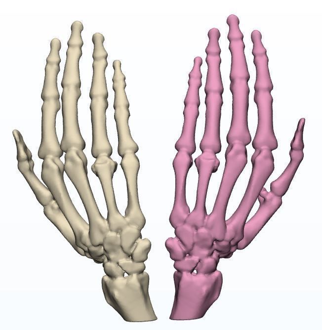 Human Hands 3d print models 3D print model_2