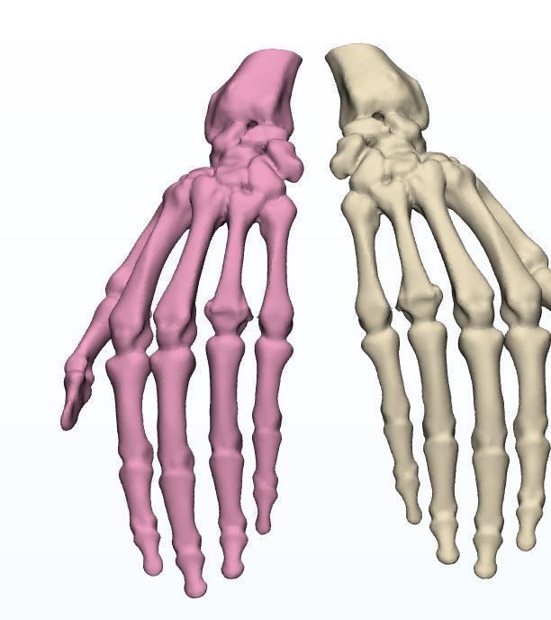 Human Hands 3d print models 3D print model_5