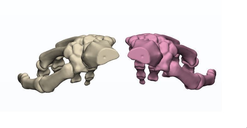 Human Hands 3d print models 3D print model_3