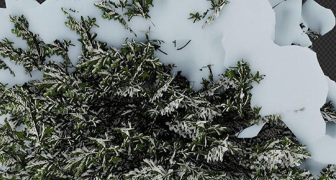 Tree Picea-abies winter 3D model