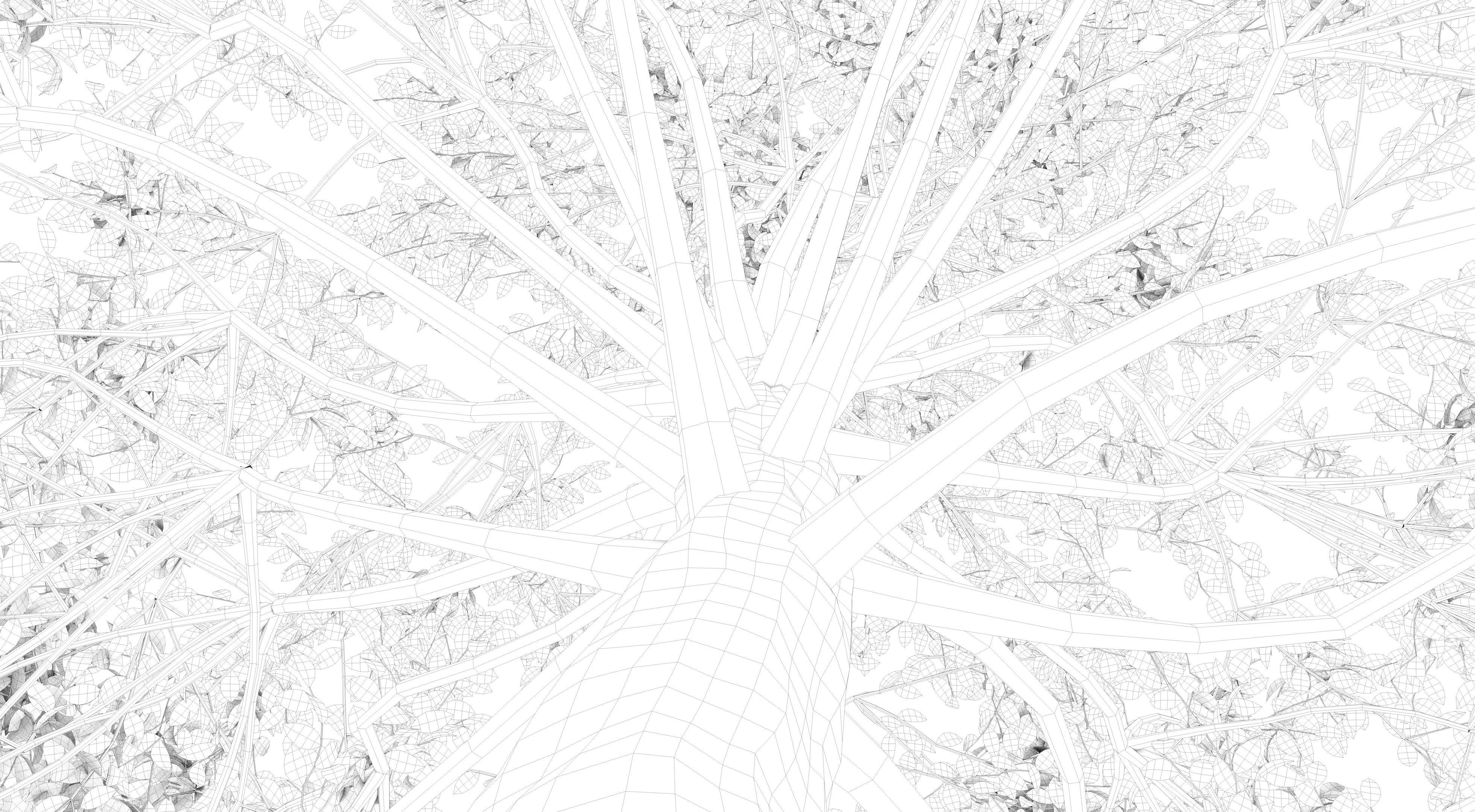 Aspen Tree and Grass 3D model_13