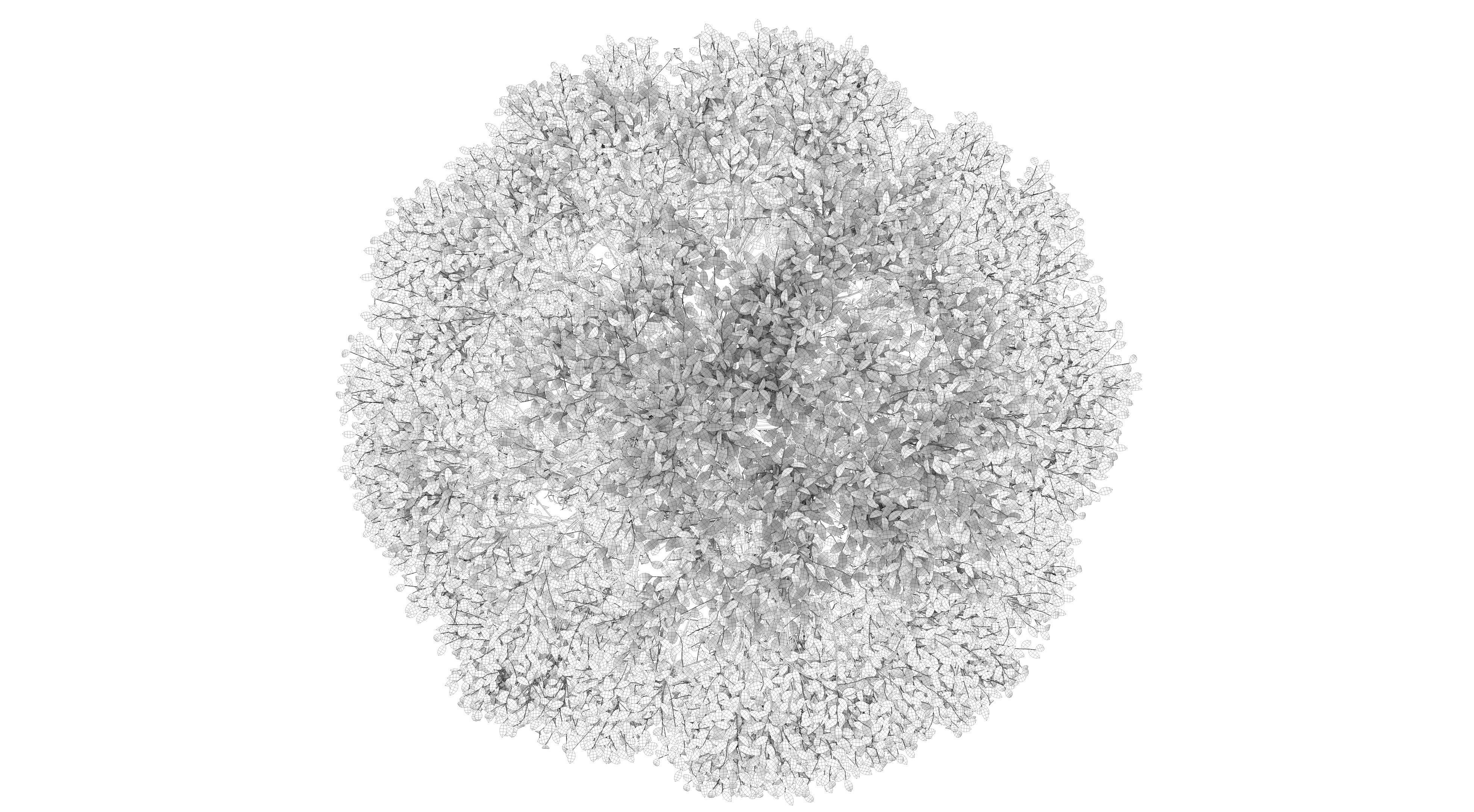 Aspen Tree and Grass 3D model_12