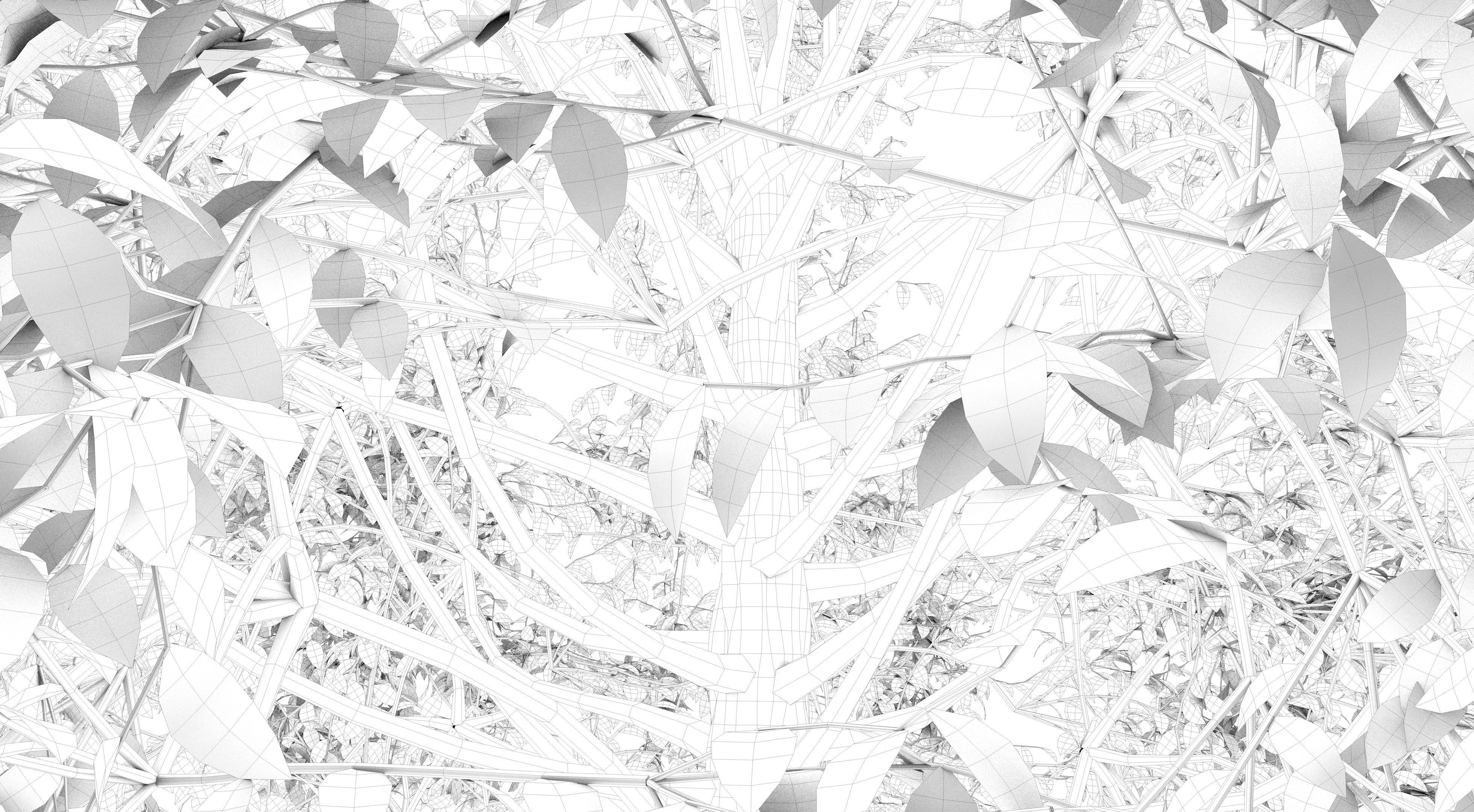 Aspen Tree and Grass 3D model_14
