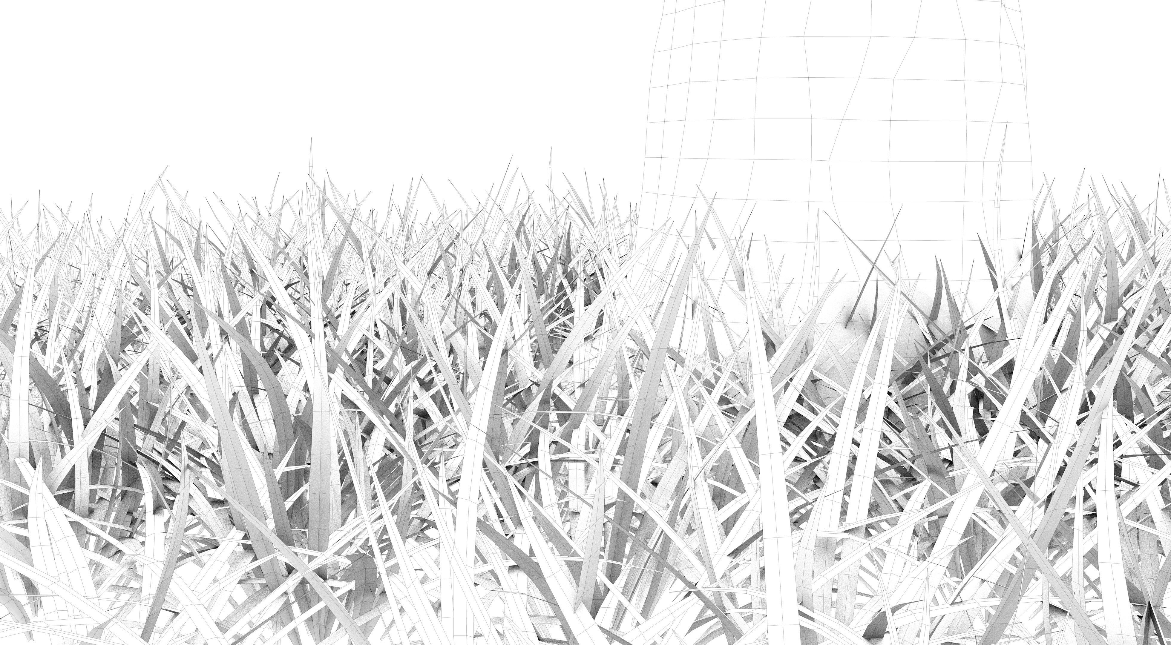 Aspen Tree and Grass 3D model_15
