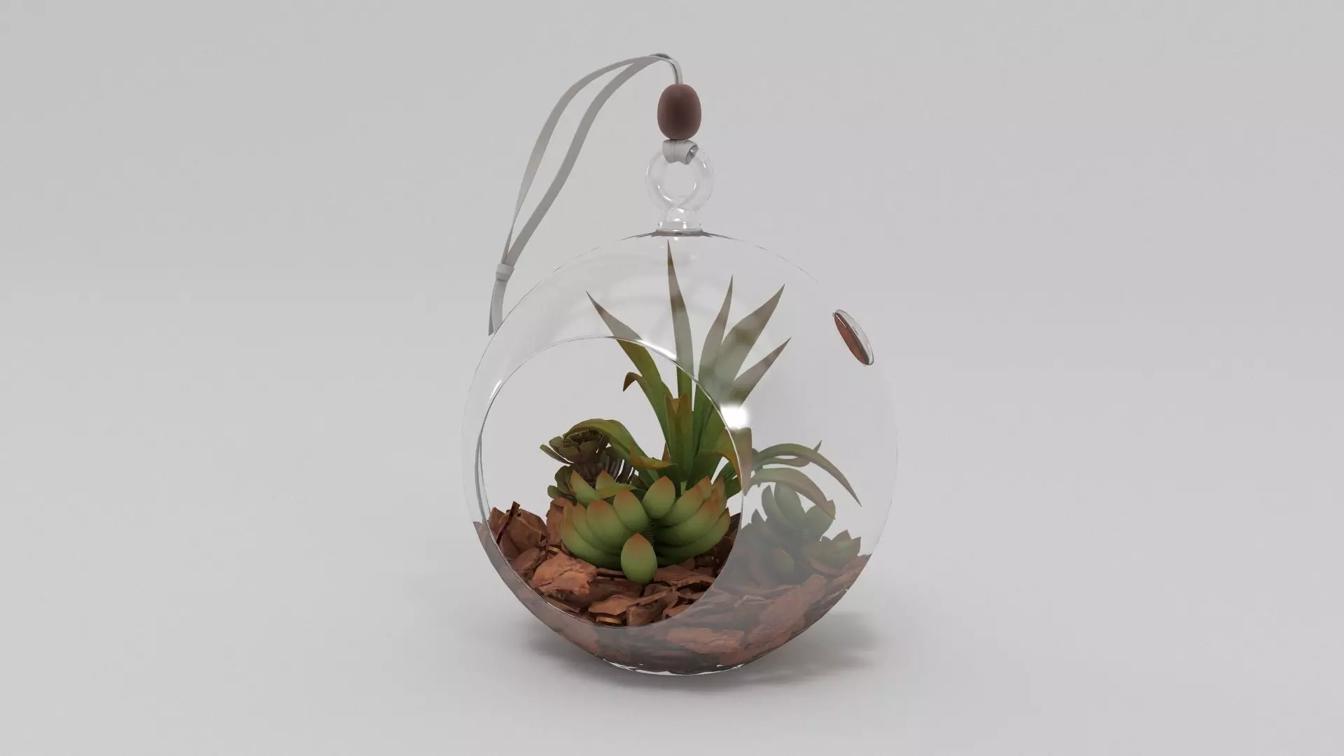 Fresh Hanging Globe Terrarium 3D model