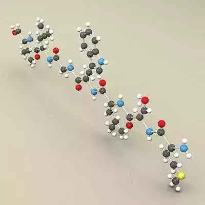 Protein Molecule