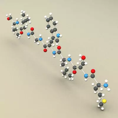 Protein Molecule 3D model_0
