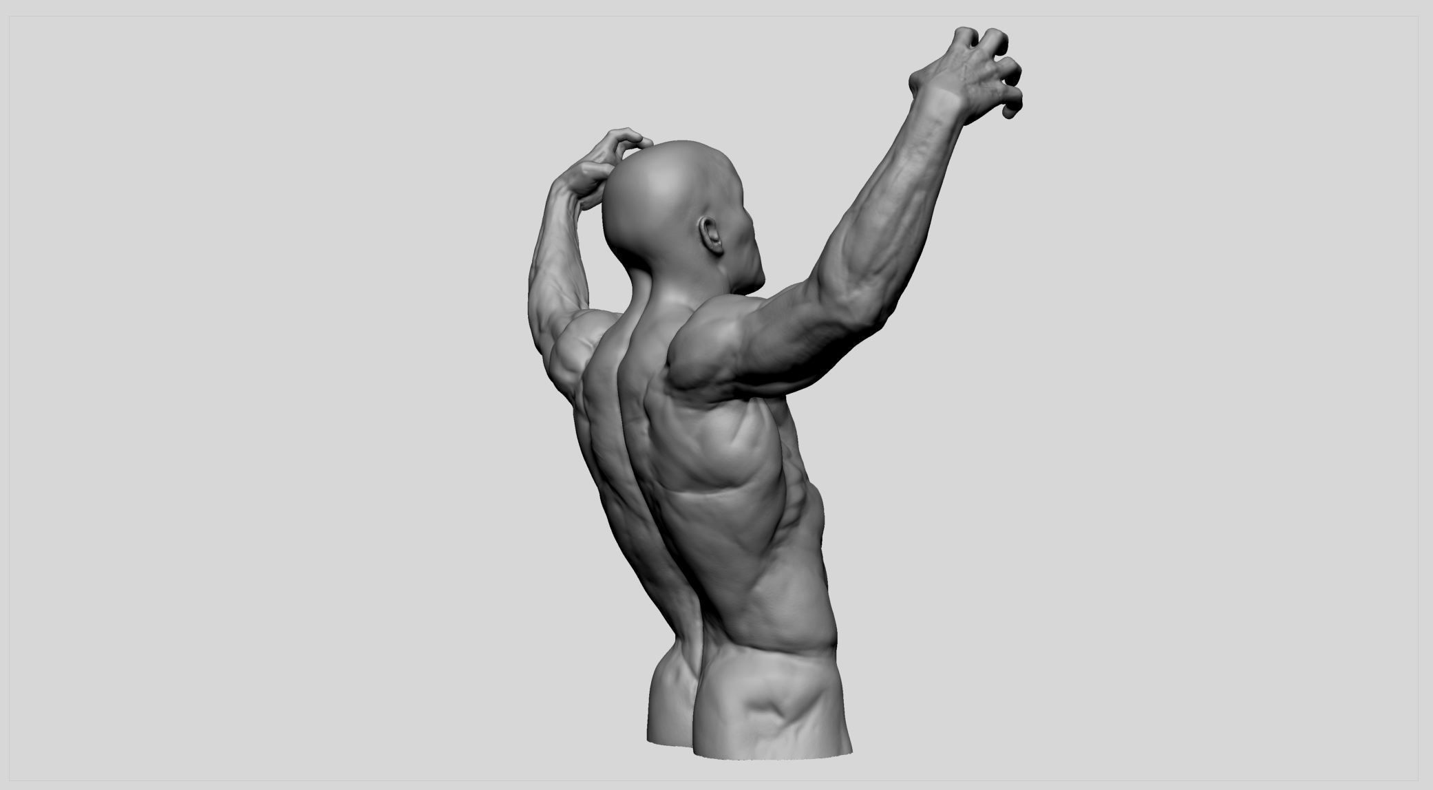 Male Torso v9 3D print model_3