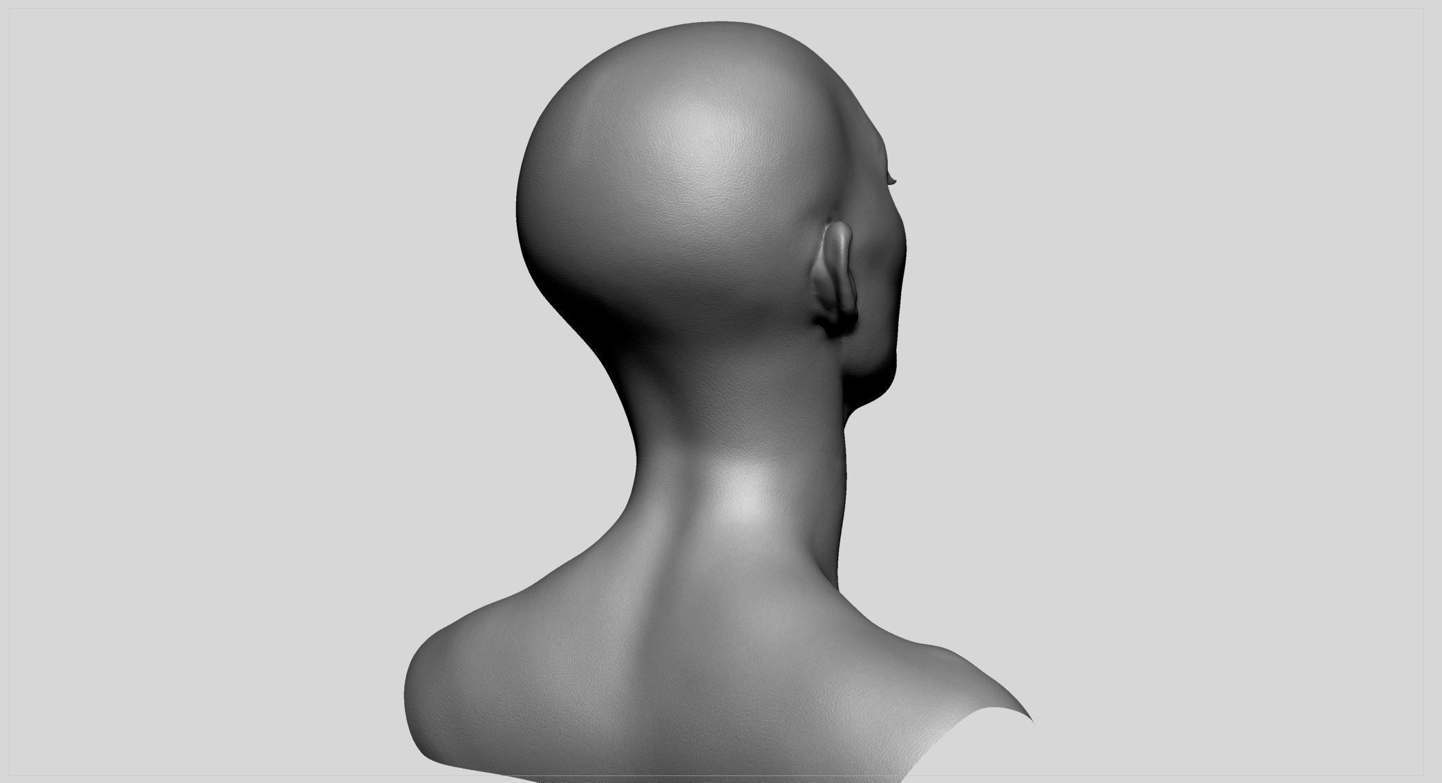 Female Head v11 3D model_3
