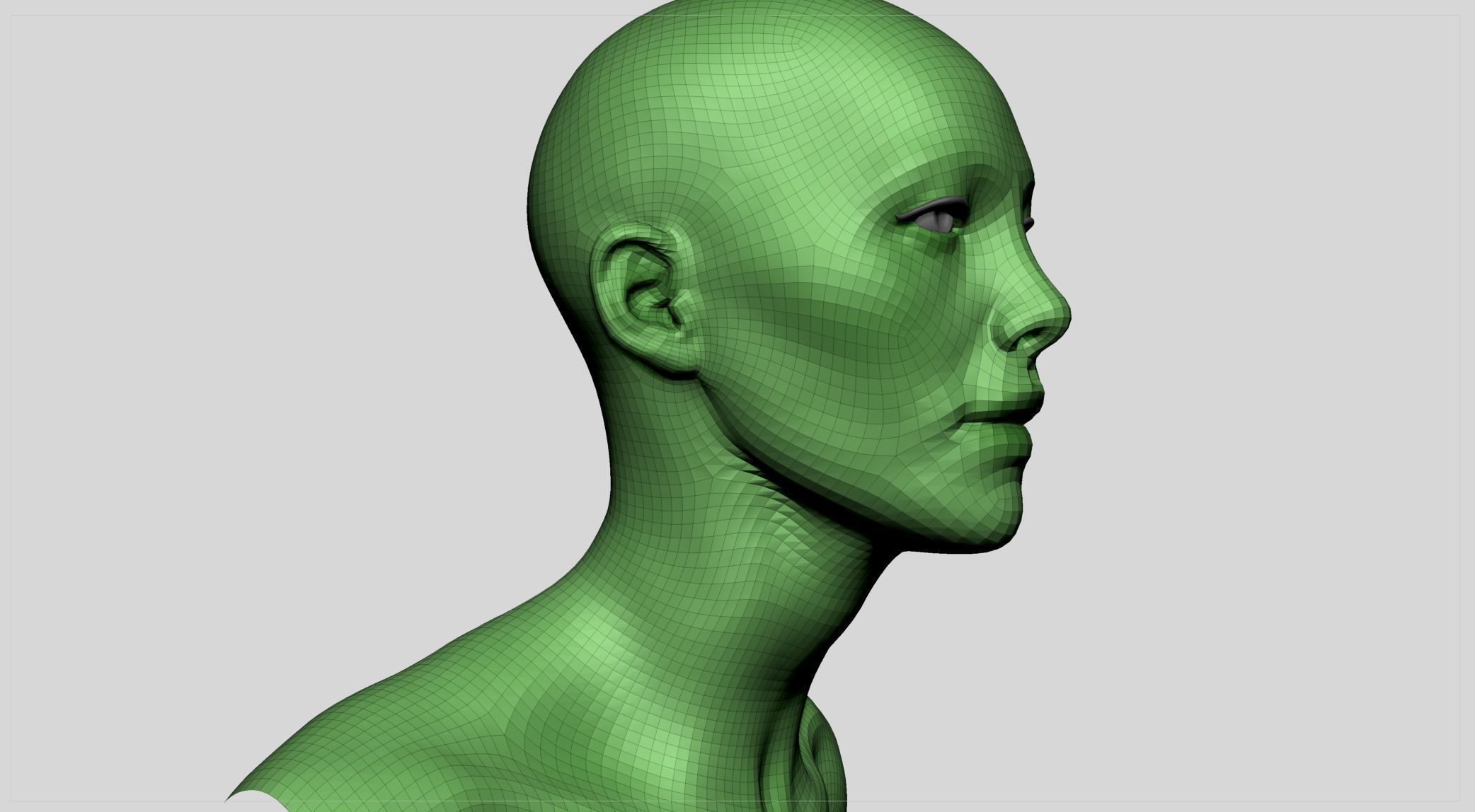 Female Head v11 3D model_10