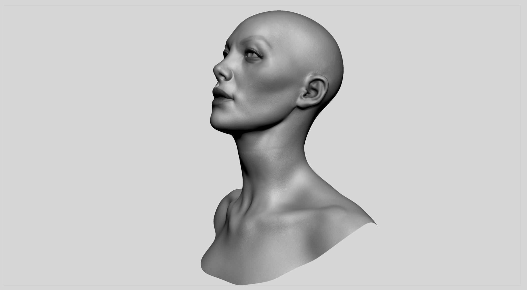 Female Head v11 3D model_5