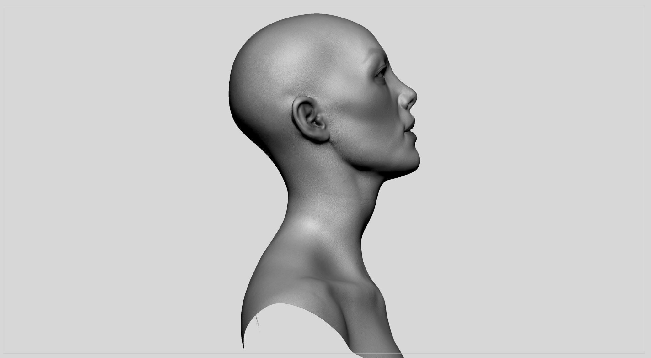 Female Head v11 3D model_2