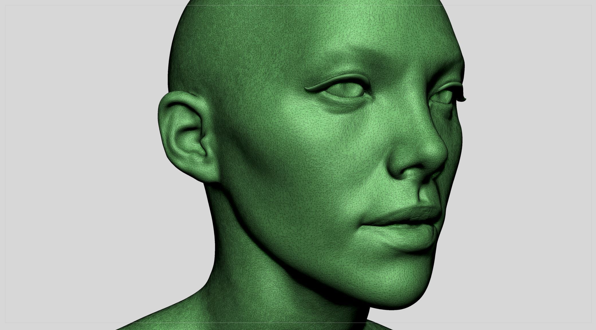 Female Head v11 3D model_14