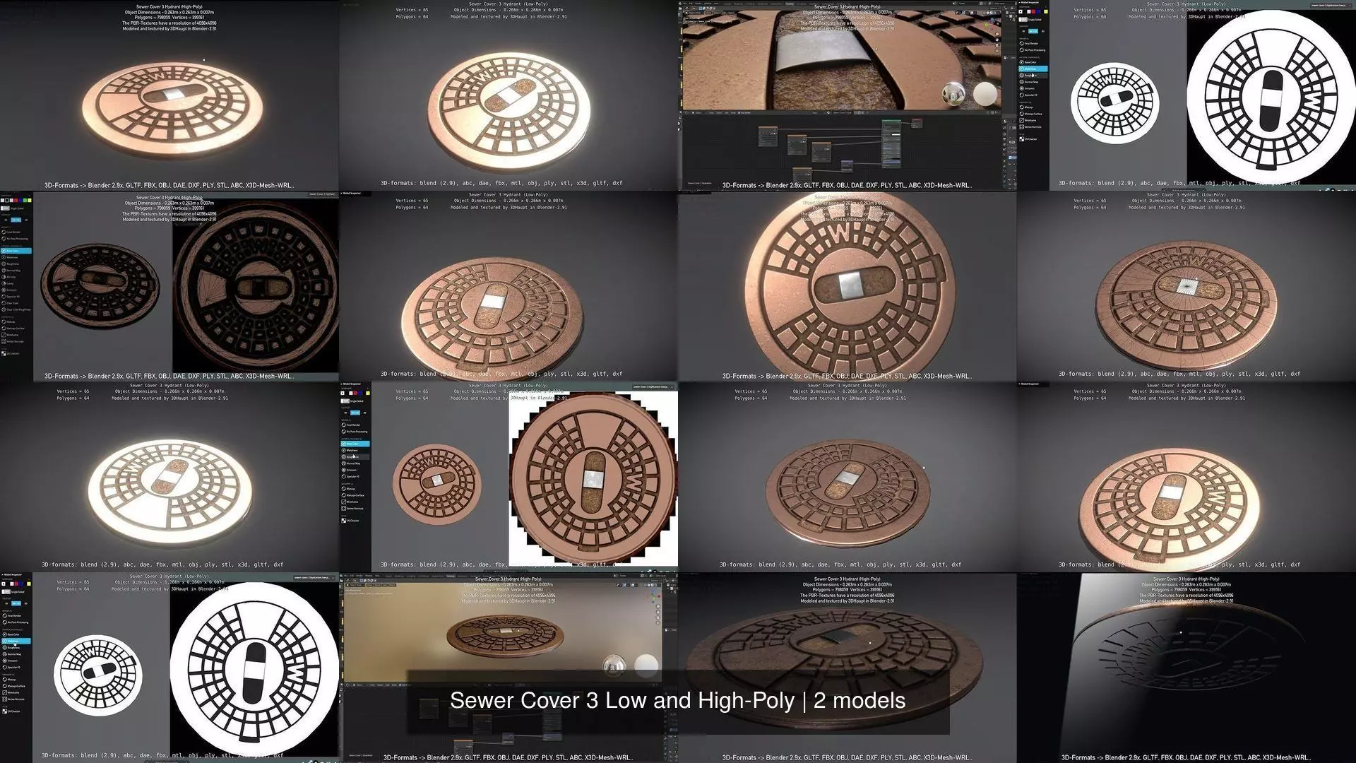 Sewer Cover 3 Low and High-Poly 3D Model Collection_0