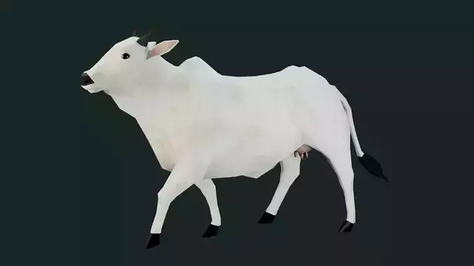 Low poly Indian Cow Rigged Model