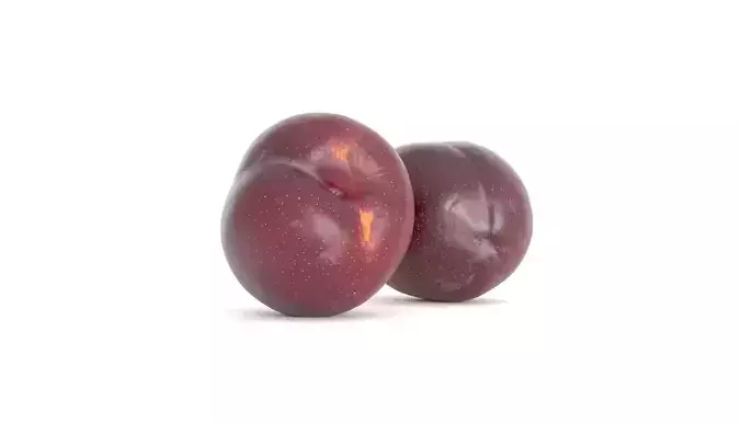 Plum Fruit Photoscan