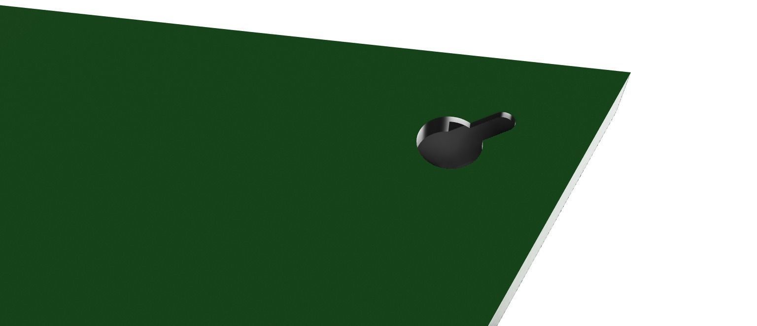 Werder Bremen Wall Sign 3D print model_3