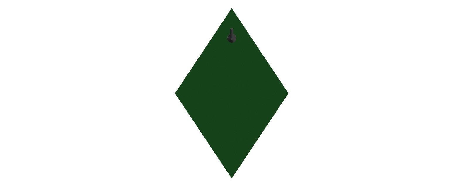 Werder Bremen Wall Sign 3D print model_4