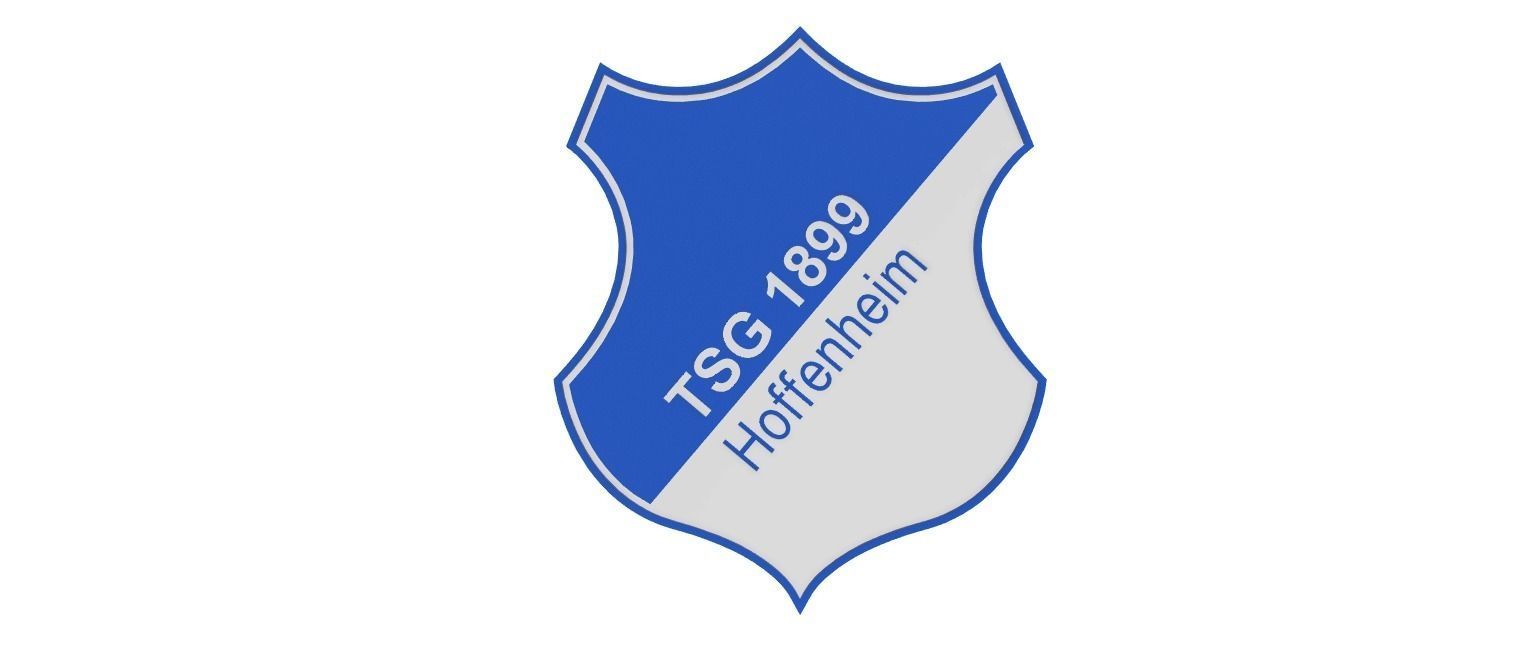 TSG Hoffenheim Wall Sign 3D print model_1