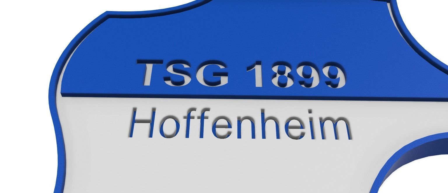 TSG Hoffenheim Wall Sign 3D print model_2