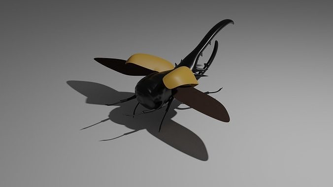 Beetle 3D model