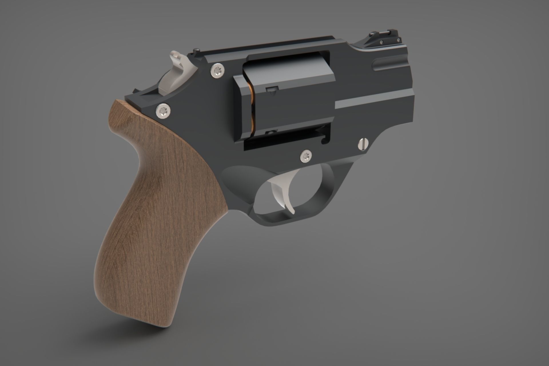 Rhino Chiappa 200ds 3D model_3