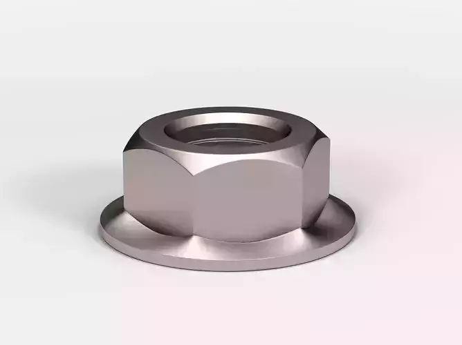 Hex Flange Nut