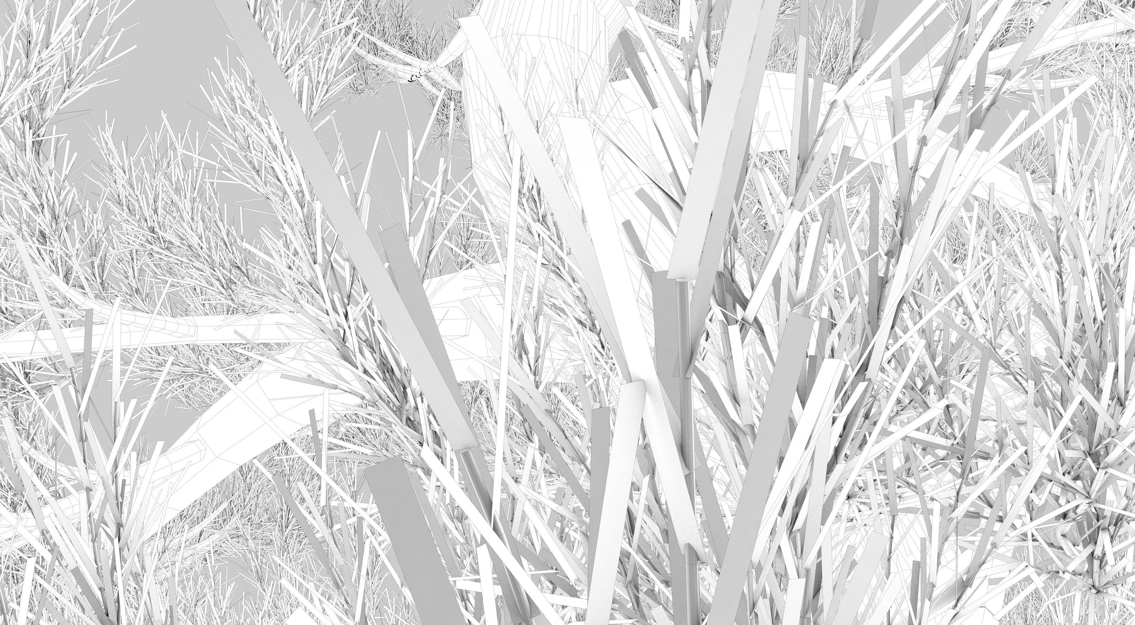 Japanese Pine Tree model Low-poly 3D model_15