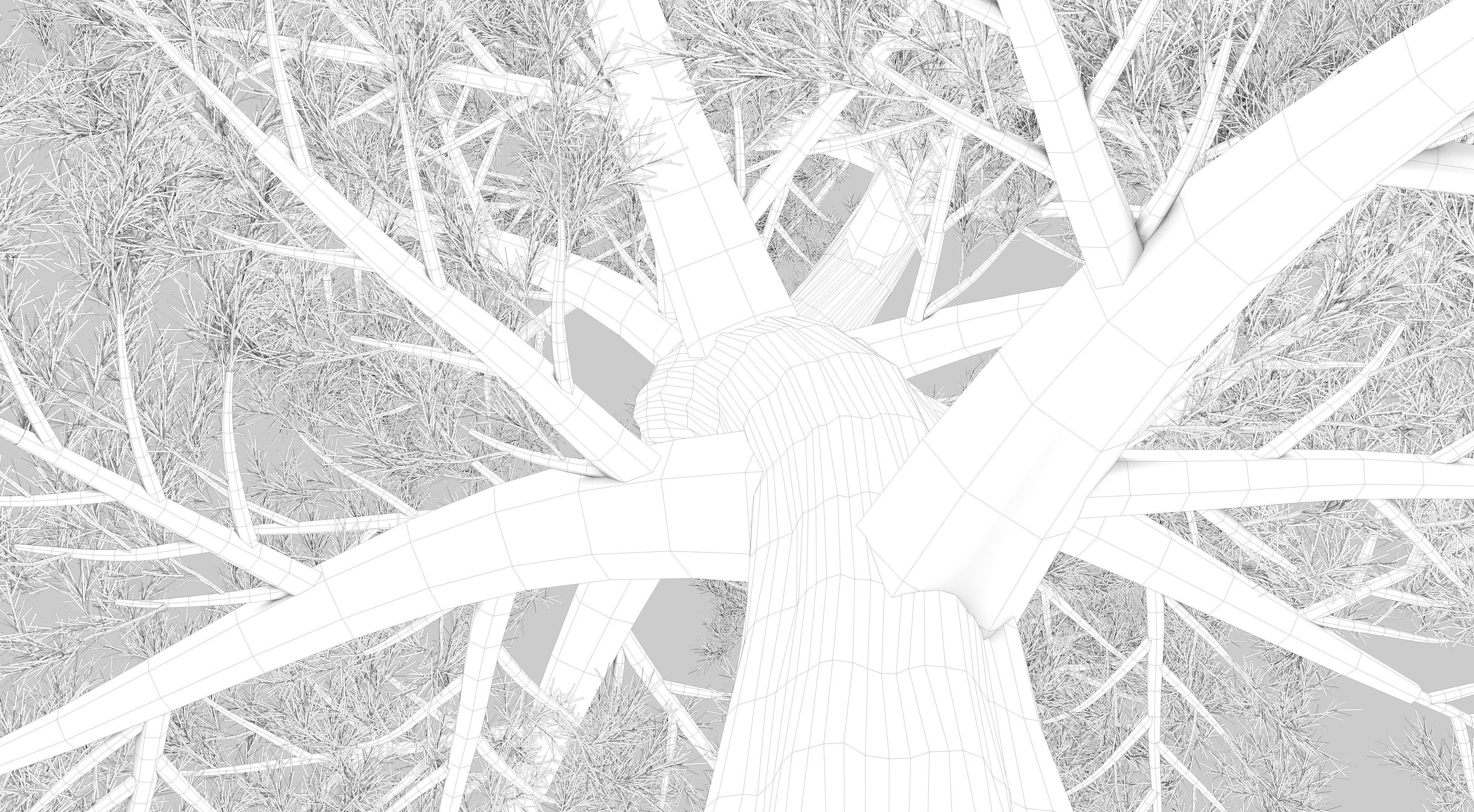 Japanese Pine Tree model Low-poly 3D model_13