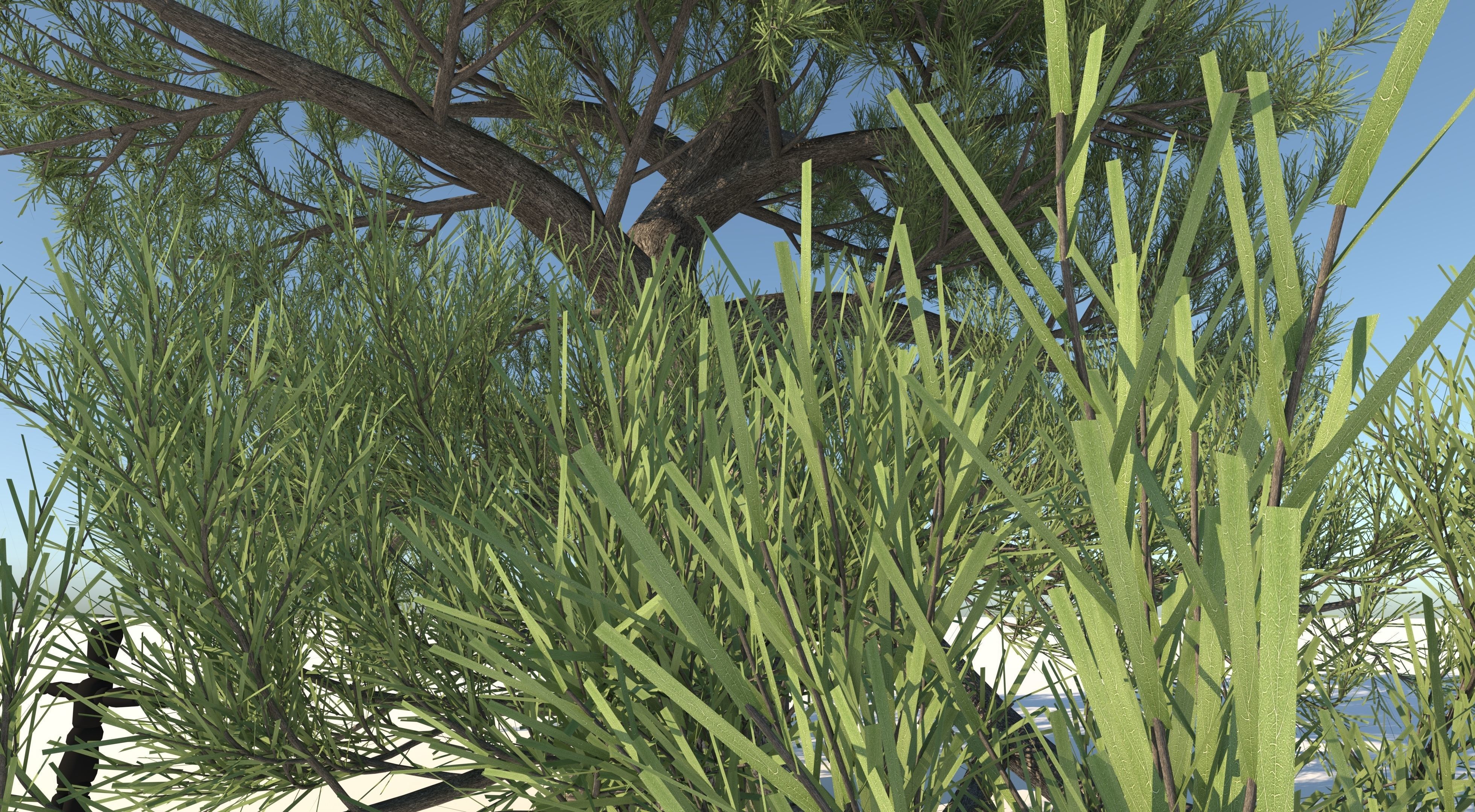 Japanese Pine Tree model Low-poly 3D model_9