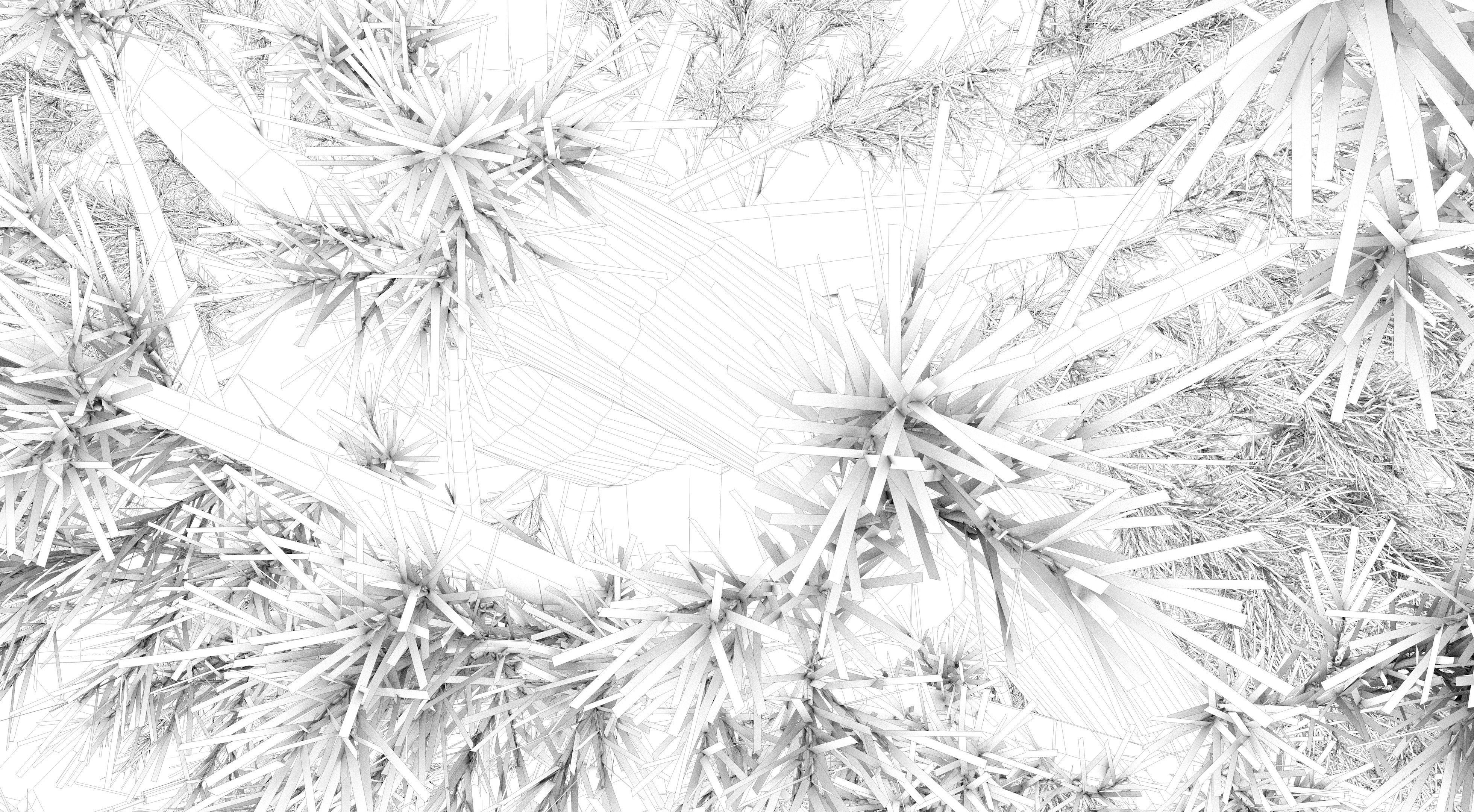 Japanese Pine Tree model Low-poly 3D model_14