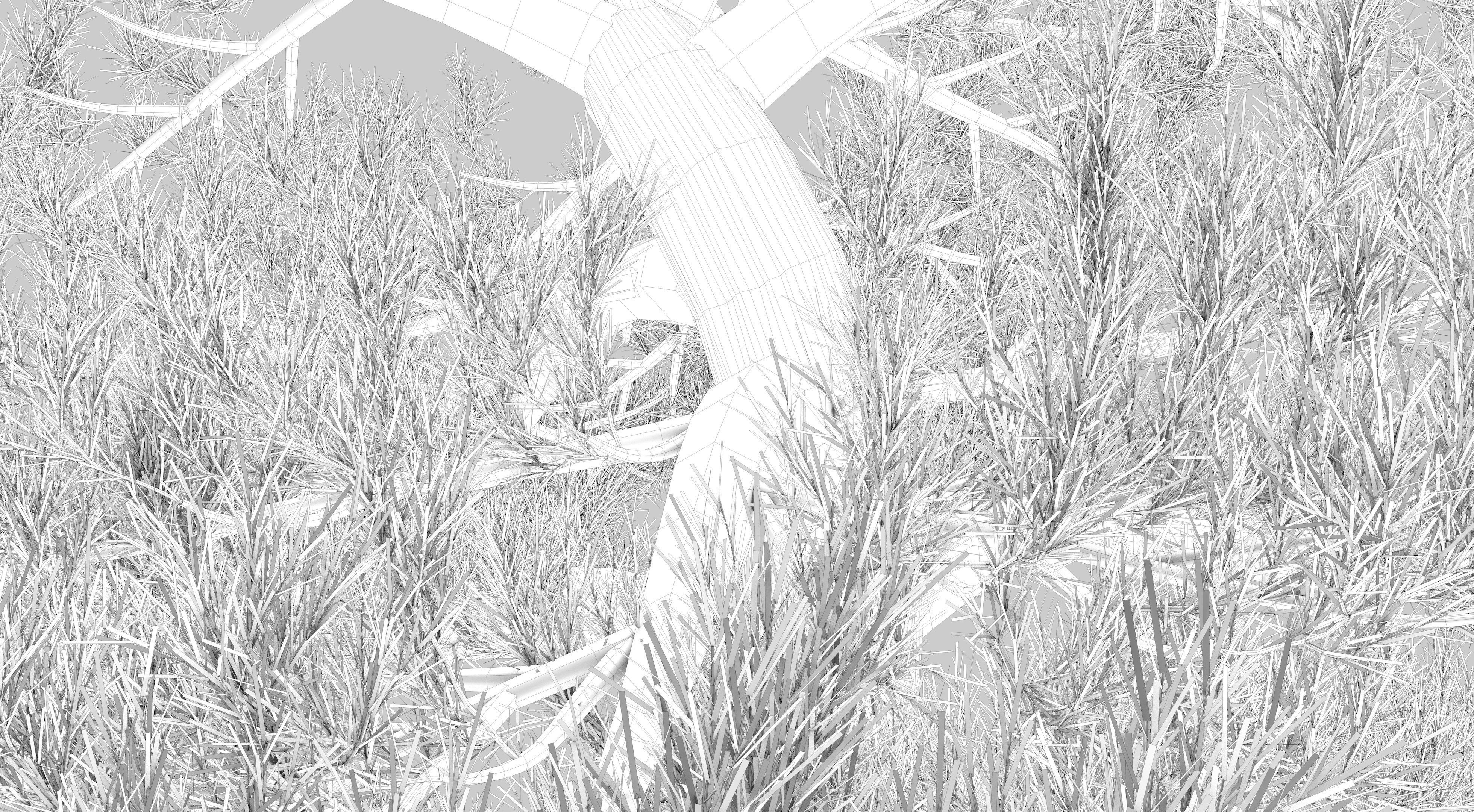 Japanese Pine Tree model Low-poly 3D model_16