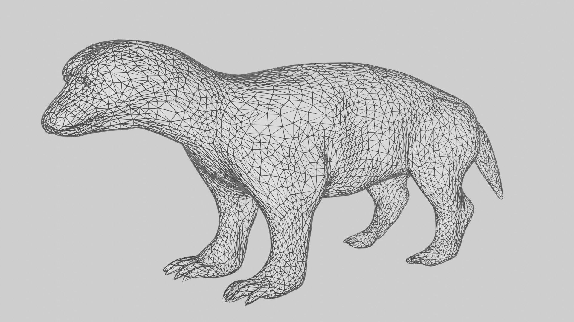 Honey Badger Low-poly 3D model_6