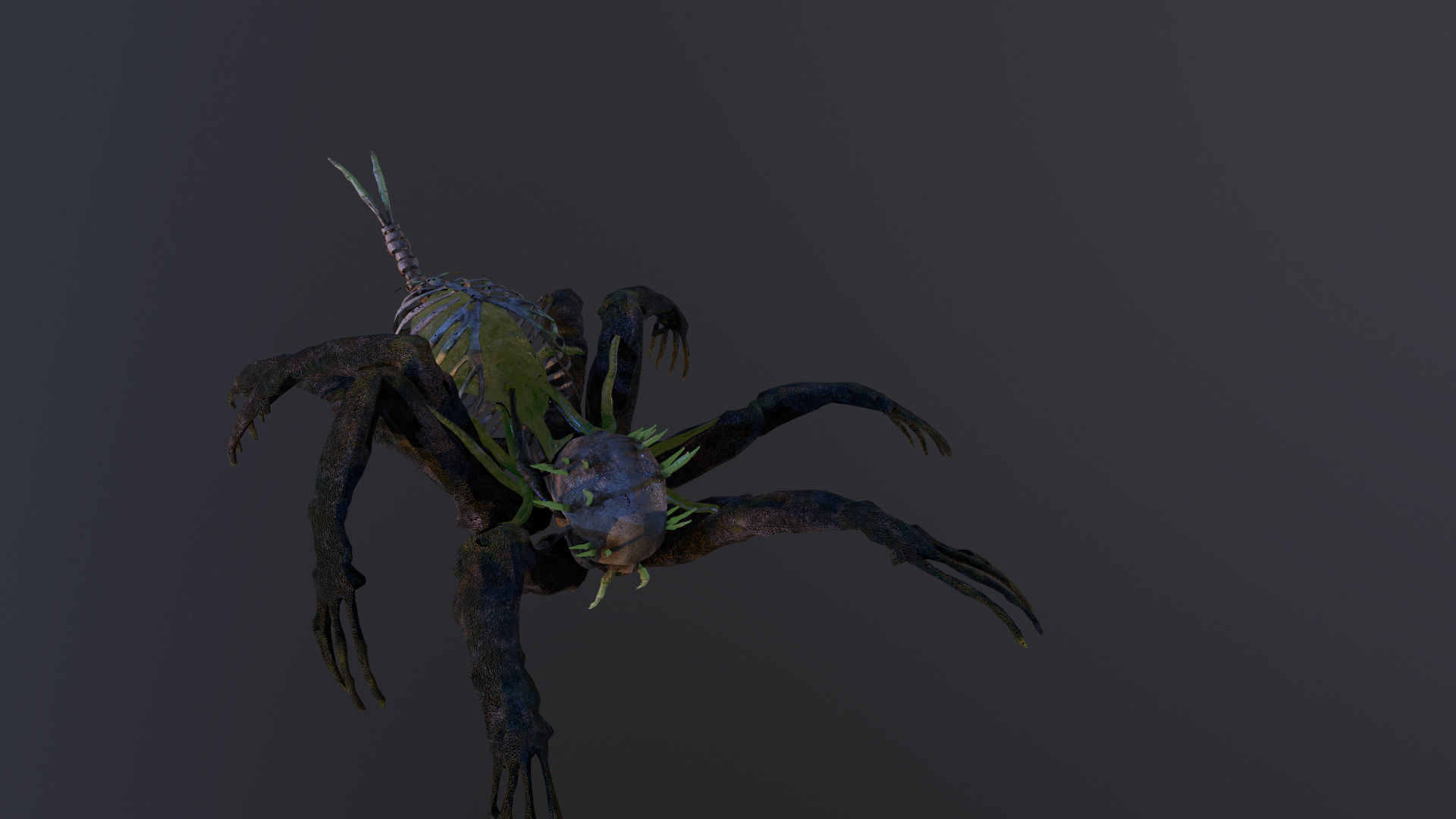 Monster Bone Spider Low-poly 3D model_12