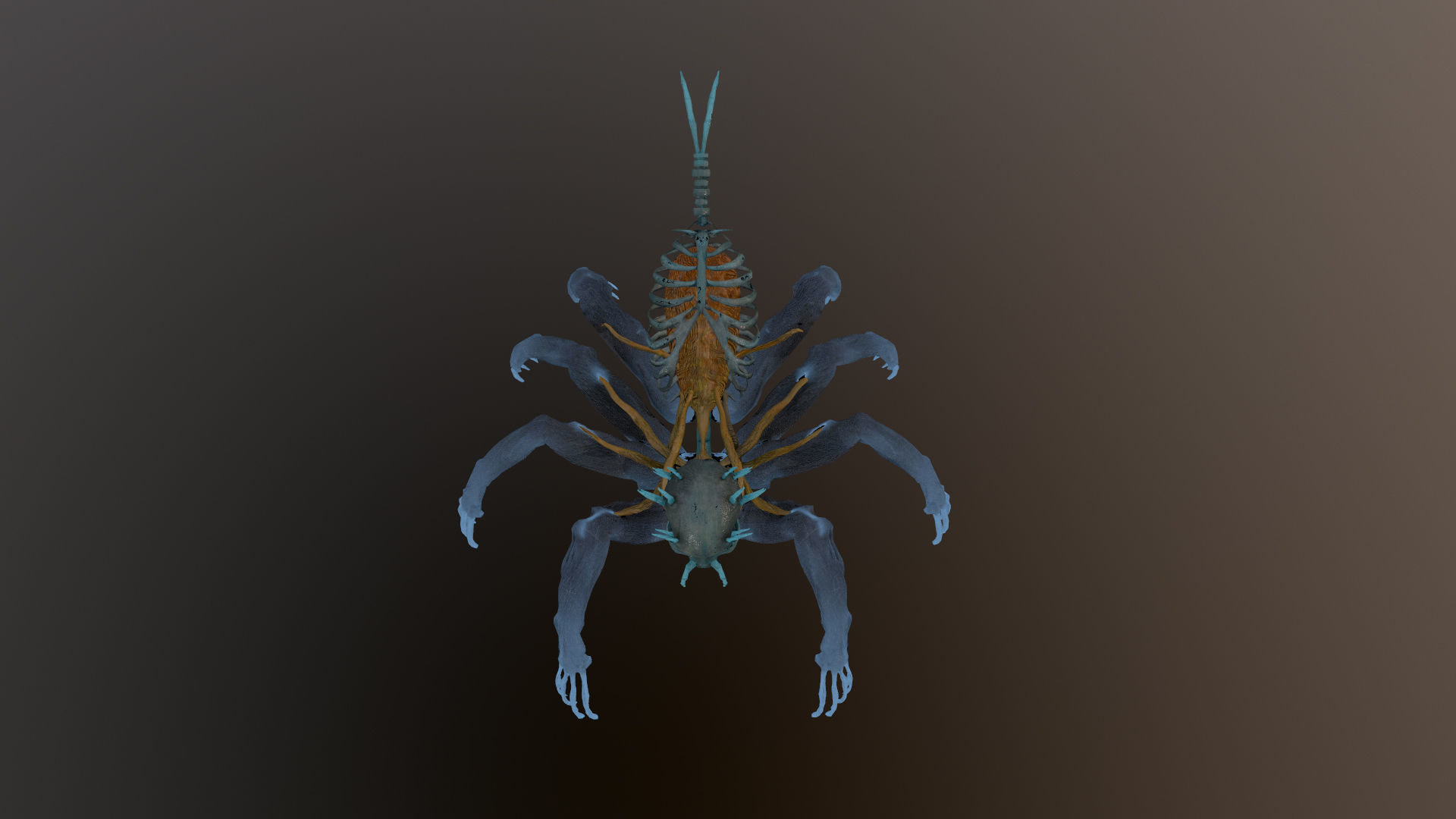 Monster Bone Spider Low-poly 3D model_14