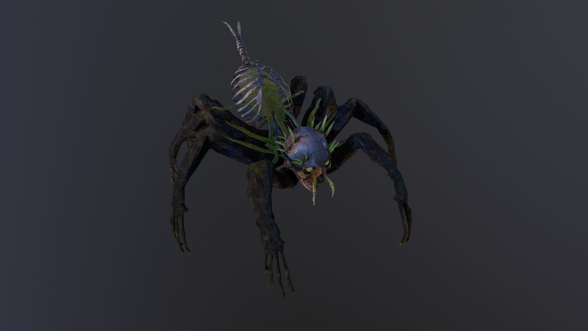 Monster Bone Spider Low-poly 3D model_11