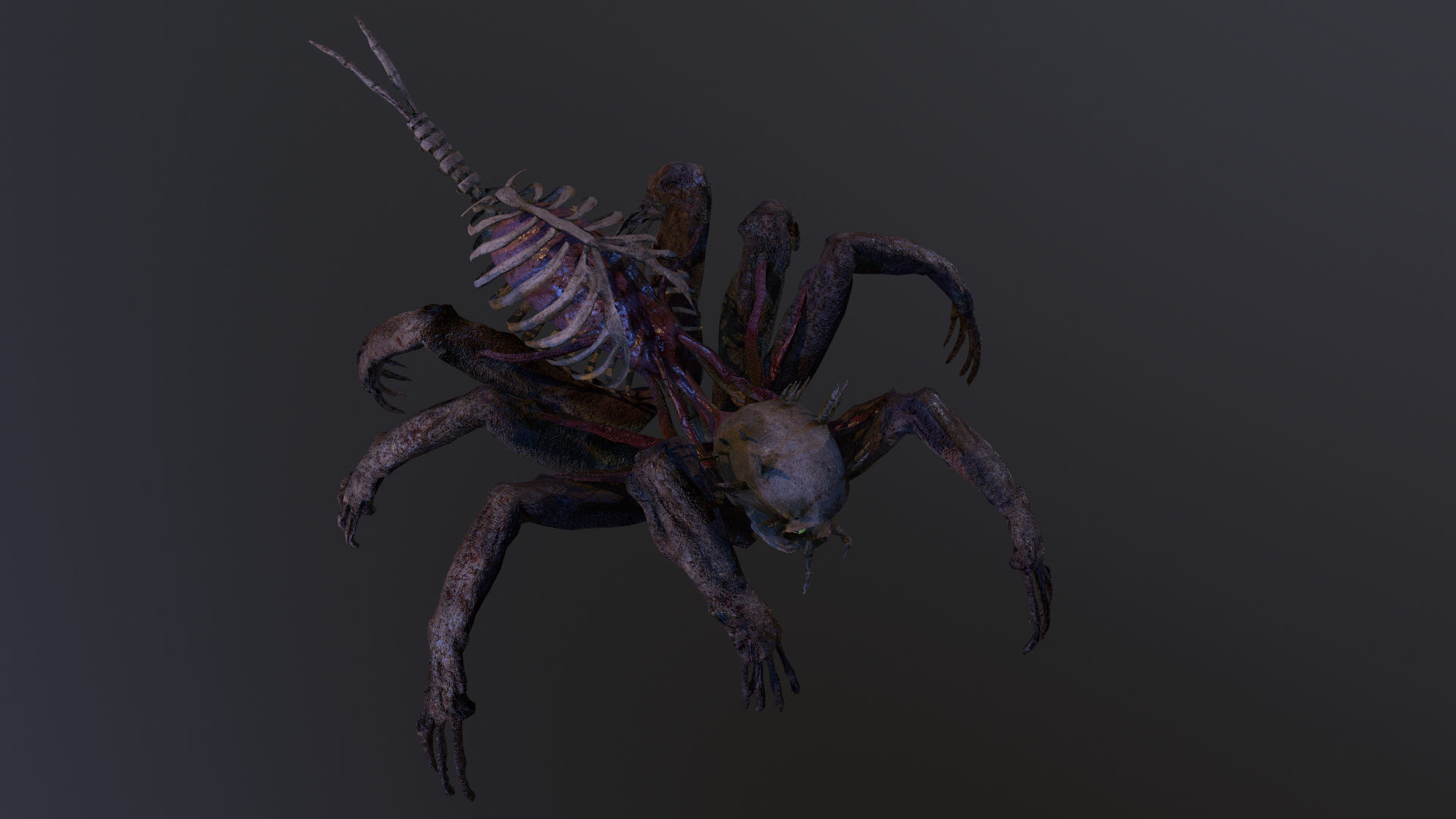Monster Bone Spider Low-poly 3D model_6