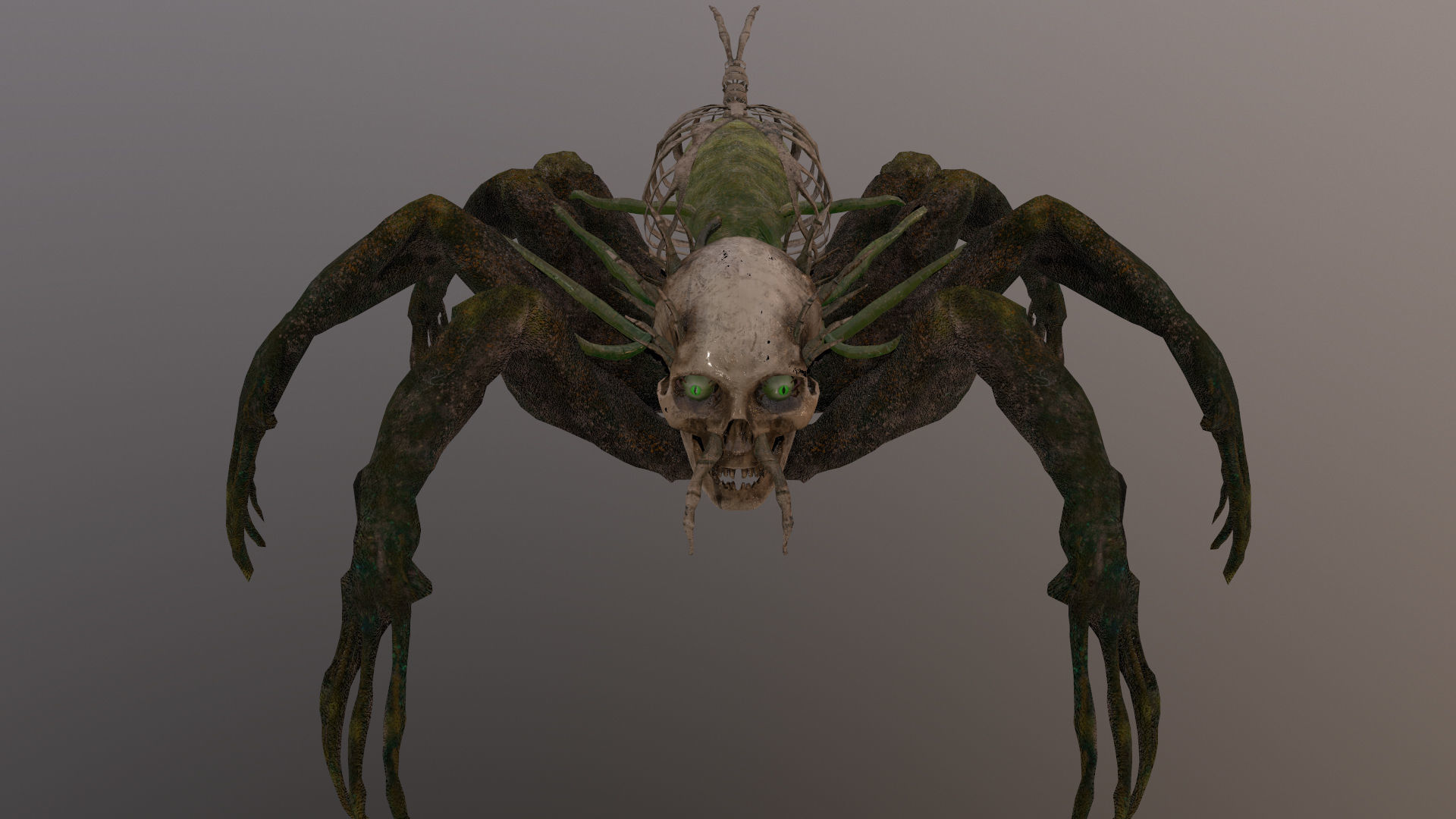Monster Bone Spider Low-poly 3D model_8
