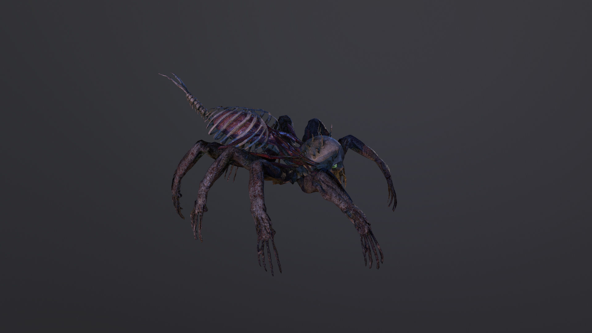 Monster Bone Spider Low-poly 3D model_5