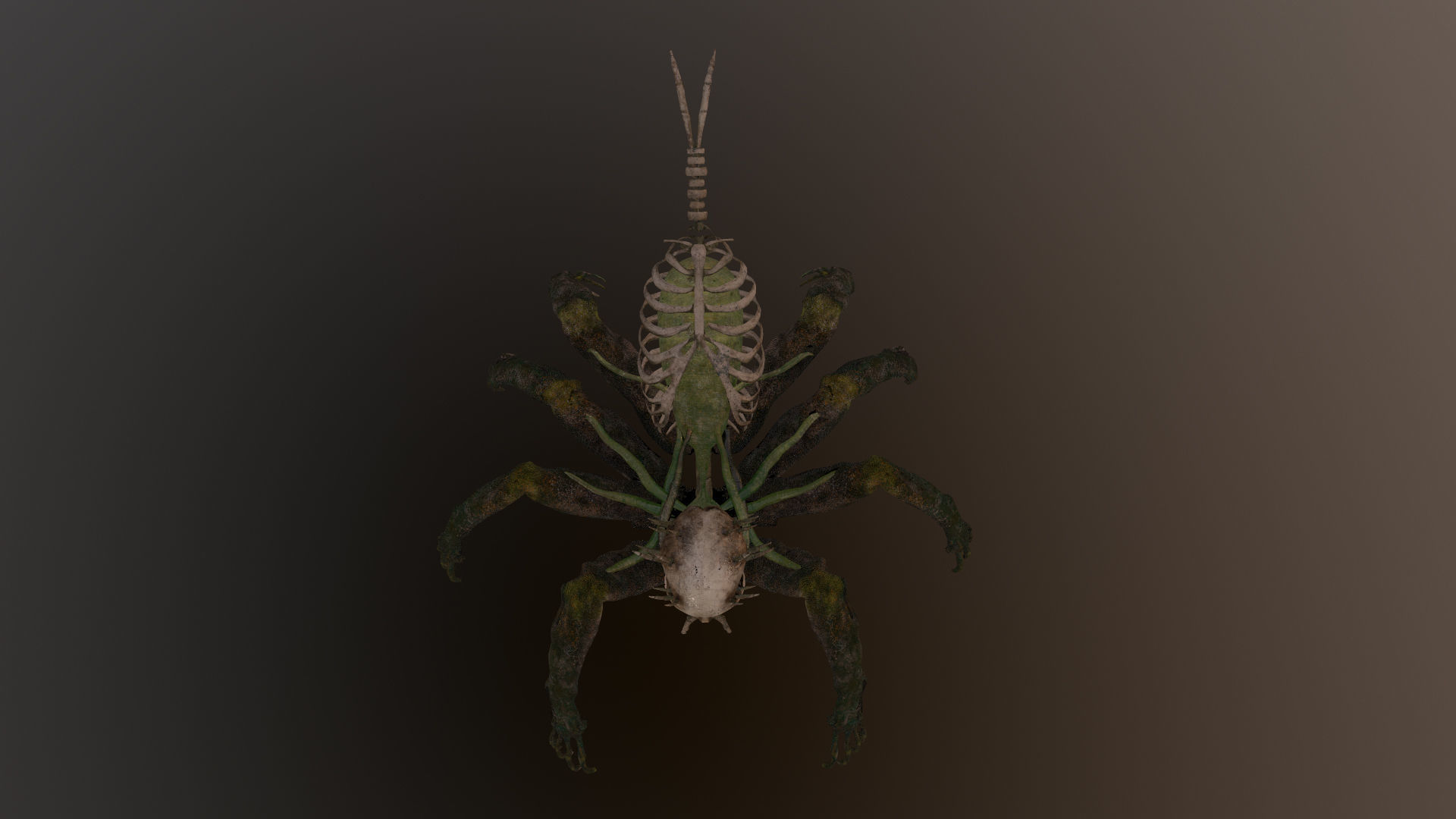 Monster Bone Spider Low-poly 3D model_10