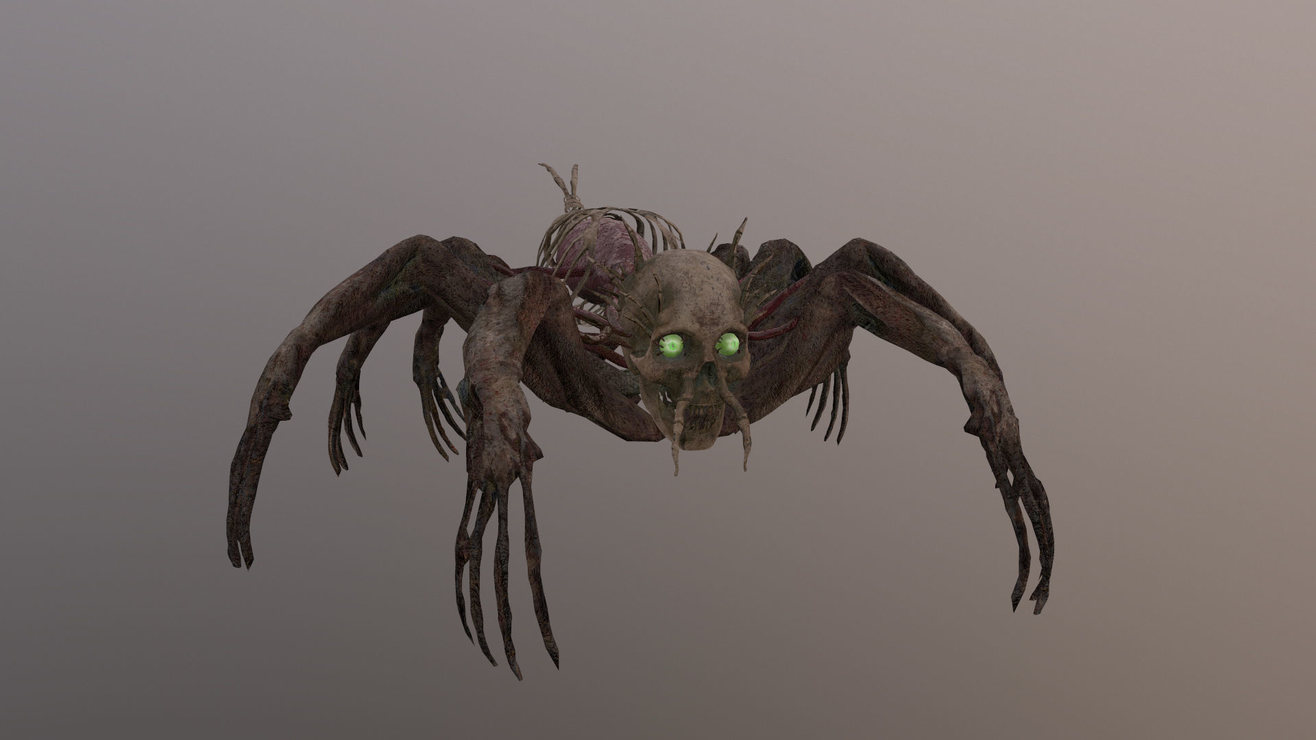 Monster Bone Spider Low-poly 3D model_2