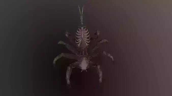 Monster Bone Spider Low-poly 3D model