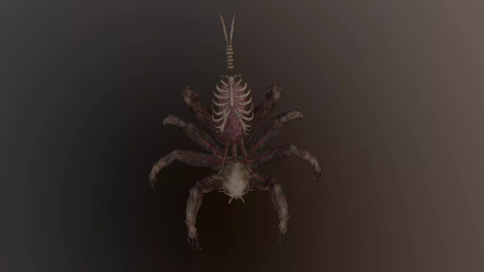Monster Bone Spider Low-poly 3D model_0
